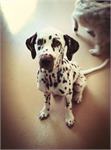 daycare pic 67 - elsa